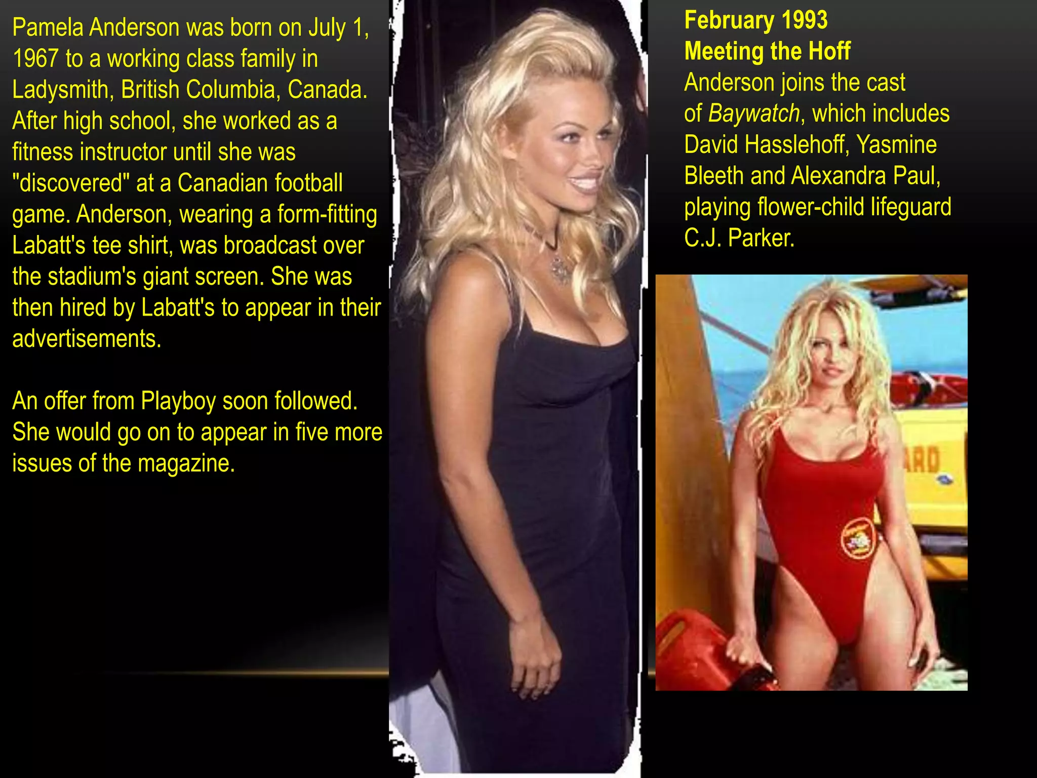 Pamela Anderson visual data 6