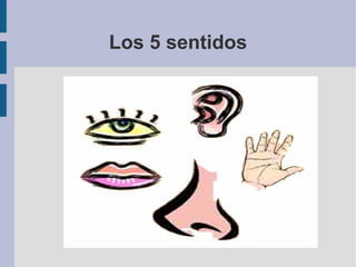 Los 5 sentidos 