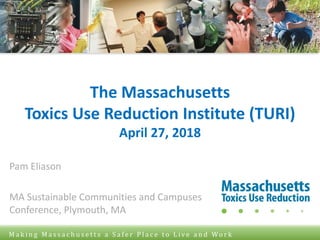 © Toxics Use Reduction Institute University of Massachusetts Lowell
M a k i n g M a s s a c h u s e t t s a S a f e r P l a c e t o L i v e a n d Wo r k
The Massachusetts
Toxics Use Reduction Institute (TURI)
April 27, 2018
Pam Eliason
MA Sustainable Communities and Campuses
Conference, Plymouth, MA
 