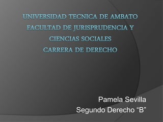 Pamela Sevilla
Segundo Derecho “B”
 