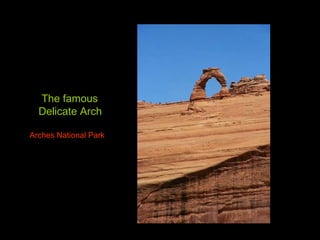 The famous  Delicate Arch Arches National Park 