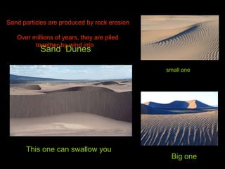 Big one Sand particles are produced by rock erosion  Over millions of years, they are piled together by wind into small one This one can swallow you Sand  Dunes 