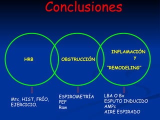Conclusiones   HRB Mtc, HIST, FRÍO, EJERCICIO. OBSTRUCCIÓN ESPIROMETRÍA PEF Raw INFLAMACIÓN y “ REMODELING” LBA O Bx ESPUTO INDUCIDO AMPc  AIRE ESPIRADO 