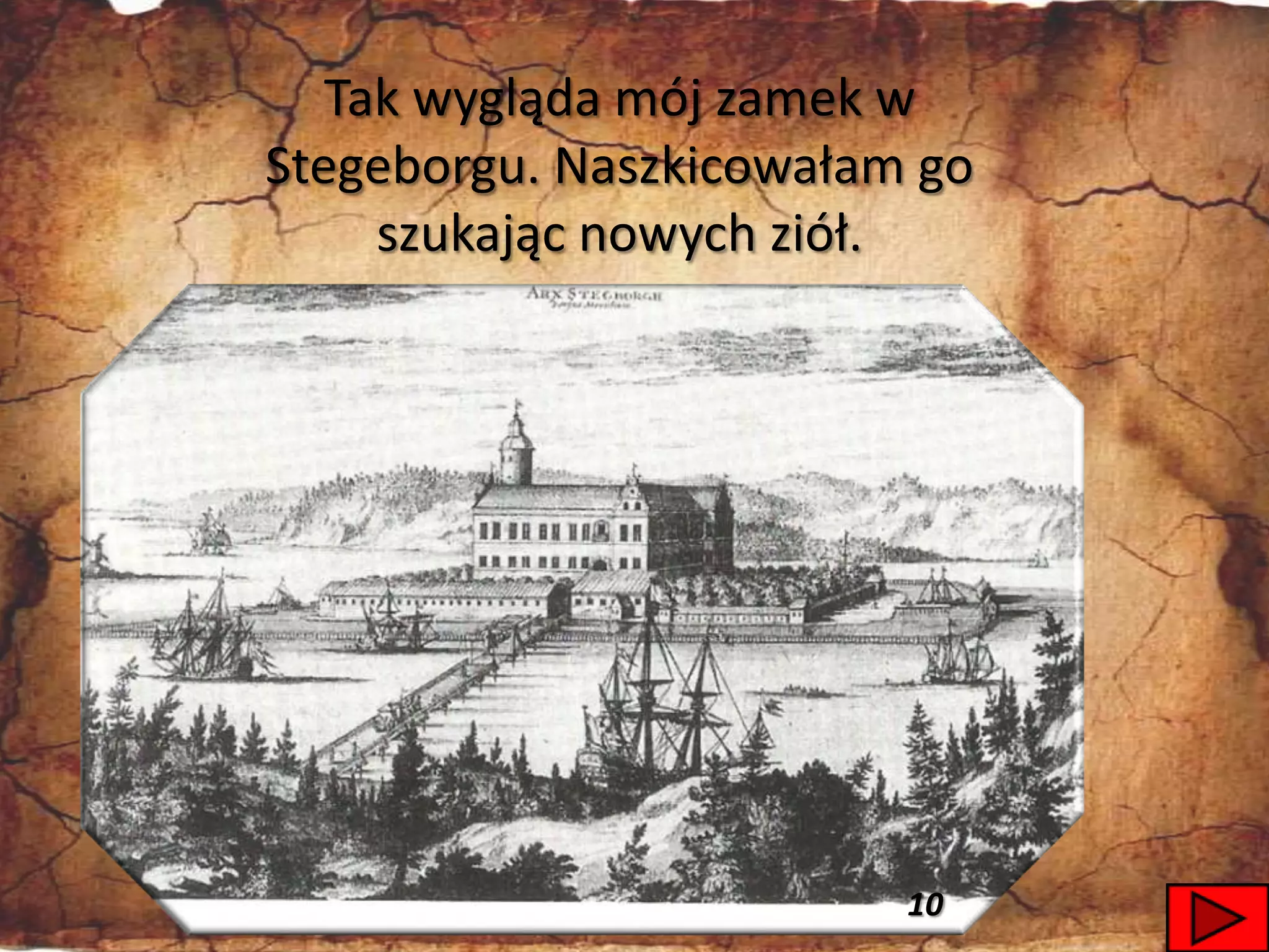 Tak wygląda mój zamek w
Stegeborgu. Naszkicowałam go
     szukając nowych ziół.




                         10    25
 
