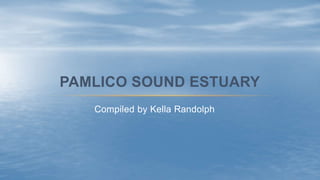 Compiled by Kella Randolph
PAMLICO SOUND ESTUARY
 