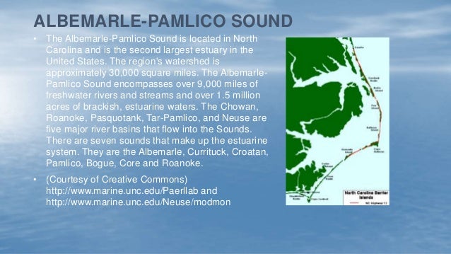 pamlico sound estuary pamlico sound