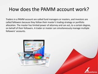 PAMM Account In Forex