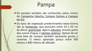 Pampa
Os pampas também são conhecidos pelos nomes
de Campanha Gaúcha, Campos Sulinos e Campos
do Sul.
Os tipos de vegetação predominantes nesse bioma
são as herbáceas, que possuem entre 10 e 50 cm
de altura, gramíneas, alguns arbustos, árvores perto
dos cursos d’agua, e plantas rasteiras. Apesar de ser
uma área de campos também apresenta grutas e
cavernas. O relevo aplanado possui entre 500
metros e 800 metros de altitude.
 