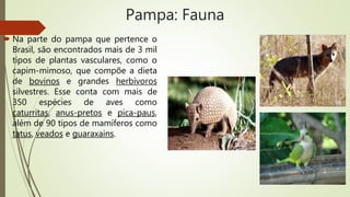Pampa: Fauna
 Na parte do pampa que pertence o
Brasil, são encontrados mais de 3 mil
tipos de plantas vasculares, como o
capim-mimoso, que compõe a dieta
de bovinos e grandes herbívoros
silvestres. Esse conta com mais de
350 espécies de aves como
caturritas, anus-pretos e pica-paus,
além de 90 tipos de mamíferos como
tatus, veados e guaraxains.
 