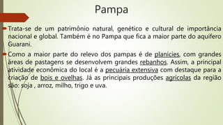 Pampa
Trata-se de um patrimônio natural, genético e cultural de importância
nacional e global. Também é no Pampa que fica a maior parte do aquífero
Guarani.
Como a maior parte do relevo dos pampas é de planícies, com grandes
áreas de pastagens se desenvolvem grandes rebanhos. Assim, a principal
atividade econômica do local é a pecuária extensiva com destaque para a
criação de bois e ovelhas. Já as principais produções agrícolas da região
são: soja , arroz, milho, trigo e uva.
 