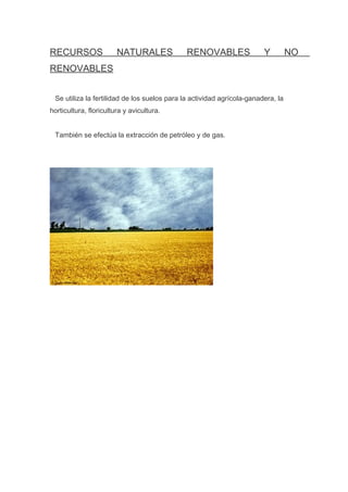 RECURSOS

NATURALES

RENOVABLES

Y

RENOVABLES
Se utiliza la fertilidad de los suelos para la actividad agrícola-ganadera, la
horticultura, floricultura y avicultura.
También se efectúa la extracción de petróleo y de gas.

NO

 