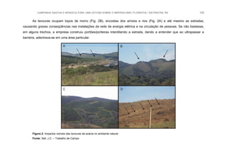 CAMPANHA GAÚCHA E MONOCULTURA: UMA LEITURA SOBRE O IMPERIALISMO “FLORESTAL” EM PIRATINI, RS 120
As lavouras ocupam topos de morro (Fig. 2B), encostas dos arroios e rios (Fig. 2A) e até mesmo as estradas,
causando graves conseqüências nas instalações da rede de energia elétrica e na circulação de pessoas. Se não bastasse,
em alguns trechos, a empresa construiu portões/porteiras interditando a estrada, dando a entender que ao ultrapassar a
barreira, adentrava-se em uma área particular.
Figura 2: Impactos visíveis das lavouras de acácia no ambiente natural.
Fonte: Sell, J.C. – Trabalho de Campo
 
