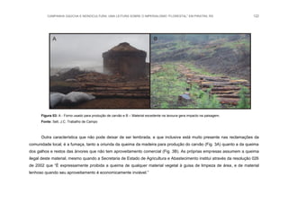 CAMPANHA GAÚCHA E MONOCULTURA: UMA LEITURA SOBRE O IMPERIALISMO “FLORESTAL” EM PIRATINI, RS 122
Figura 03: A - Forno usado para produção de carvão e B – Material excedente na lavoura gera impacto na paisagem.
Fonte: Sell, J.C. Trabalho de Campo
Outra característica que não pode deixar de ser lembrada, e que inclusive está muito presente nas reclamações da
comunidade local, é a fumaça, tanto a oriunda da queima da madeira para produção do carvão (Fig. 3A) quanto a da queima
dos galhos e restos das árvores que não tem aproveitamento comercial (Fig. 3B). As próprias empresas assumem a queima
ilegal deste material, mesmo quando a Secretaria de Estado de Agricultura e Abastecimento institui através da resolução 026
de 2002 que “É expressamente proibida a queima de qualquer material vegetal à guisa de limpeza de área, e de material
lenhoso quando seu aproveitamento é economicamente inviável.”
 