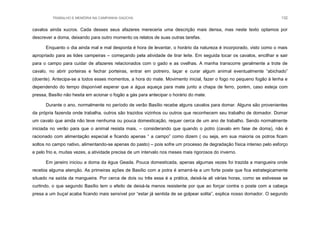 TRABALHO E MEMÓRIA NA CAMPANHA GAÚCHA 132
cavalos ainda xucros. Cada desses seus afazeres mereceria uma descrição mais densa, mas neste texto optamos por
descrever a doma, deixando para outro momento os relatos de suas outras tarefas.
Enquanto o dia ainda mal e mal desponta é hora de levantar, o horário da natureza é incorporado, visto como o mais
apropriado para as lides campeiras – começando pela atividade de tirar leite. Em seguida tocar os cavalos, encilhar e sair
para o campo para cuidar de afazeres relacionados com o gado e as ovelhas. A manha transcorre geralmente a trote de
cavalo, no abrir porteiras e fechar porteiras, entrar em potreiro, laçar e curar algum animal eventualmente “abichado”
(doente). Antecipa-se a todos esses momentos, a hora do mate. Movimento inicial, fazer o fogo no pequeno fogão à lenha e
dependendo do tempo disponível esperar que a água aqueça para mate junto a chapa de ferro, porém, caso esteja com
pressa, Basílio não hesita em acionar o fogão a gás para antecipar o horário do mate.
Durante o ano, normalmente no período de verão Basílio recebe alguns cavalos para domar. Alguns são provenientes
da própria fazenda onde trabalha, outros são trazidos vizinhos ou outros que reconhecem seu trabalho de domador. Domar
um cavalo que ainda não teve nenhuma ou pouca domesticação, requer cerca de um ano de trabalho. Sendo normalmente
iniciada no verão para que o animal resista mais, – considerando que quando o potro (cavalo em fase de doma), não é
racionado com alimentação especial e ficando apenas “ a campo” como dizem ( ou seja, em sua maioria os potros ficam
soltos no campo nativo, alimentando-se apenas do pasto) – pois sofre um processo de degradação física intenso pelo esforço
e pelo frio e, muitas vezes, a atividade precisa de um intervalo nos meses mais rigorosos do inverno.
Em janeiro iniciou a doma da égua Geada. Pouca domesticada, apenas algumas vezes foi trazida a mangueira onde
recebia alguma atenção. As primeiras ações de Basílio com a potra é amarrá-la a um forte poste que fica estrategicamente
situado na saída da mangueira. Por cerca de dois ou três essa é a prática, deixá-la ali várias horas, como se estivesse se
curtindo, o que segundo Basílio tem o efeito de deixá-la menos resistente por que ao forçar contra o poste com a cabeça
presa a um buçal acaba ficando mais sensível por “estar já sentida de se golpear solita”, explica nosso domador. O segundo
 