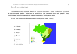 O PAMPA E A APA DO IBIRAPUITÃ: ESTRATÉGIAS E AÇÕES PARA A SUSTENTABILIDADE 38
Biomas Brasileiros e Legislação
Conforme definição dada pelo IBGE, Bioma é “um conjunto de vida (vegetal e animal) constituído pelo agrupamento
de tipos de vegetação próximos e identificáveis em escala regional, com condições de solo e clima similares e história
compartilhada de mudanças, o que resulta em uma diversidade biológica própria daquela região”.
O Brasil, hoje, reconhece oficialmente a ocorrência de sete grandes Biomas (Figura 01).
(a) Caatinga
(b) Pantanal
(c) Pampa
(d) Cerrado
(e) Marinho-
Costeiro
(f) Mata Atlântica
 