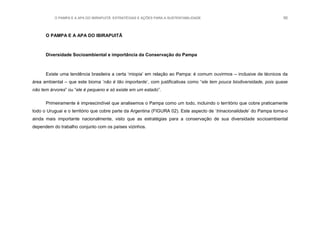 O PAMPA E A APA DO IBIRAPUITÃ: ESTRATÉGIAS E AÇÕES PARA A SUSTENTABILIDADE 50
O PAMPA E A APA DO IBIRAPUITÃ
Diversidade Socioambiental e importância da Conservação do Pampa
Existe uma tendência brasileira a certa „miopia‟ em relação ao Pampa: é comum ouvirmos – inclusive de técnicos da
área ambiental – que este bioma „não é tão importante‟, com justificativas como “ele tem pouca biodiversidade, pois quase
não tem árvores” ou “ele é pequeno e só existe em um estado”.
Primeiramente é imprescindível que analisemos o Pampa como um todo, incluindo o território que cobre praticamente
todo o Uruguai e o território que cobre parte da Argentina (FIGURA 02). Este aspecto de „trinacionalidade‟ do Pampa torna-o
ainda mais importante nacionalmente, visto que as estratégias para a conservação de sua diversidade socioambiental
dependem do trabalho conjunto com os países vizinhos.
 