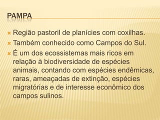 PAMPA
 Região pastoril de planícies com coxilhas.
 Também conhecido como Campos do Sul.
 É um dos ecossistemas mais ricos em
relação à biodiversidade de espécies
animais, contando com espécies endêmicas,
raras, ameaçadas de extinção, espécies
migratórias e de interesse econômico dos
campos sulinos.
 