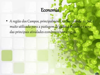 Economia
• A região dos Campos, principalmente no Rio Grande do Sul, é
muito utilizada para a pastagem de gado. A Pecuária é uma
das principais atividades econômica nesta região.
 