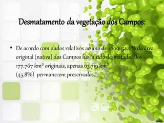 Desmatamento da vegetação dos Campos:
• De acordo com dados relativos ao ano de 2009, 54,2% da área
original (nativa) dos Campos havia sido desmatada. Dos
177.767 km² originais, apenas 63.719 km²
(45,8%) permanecem preservados.
 