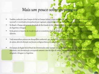 Mais um pouco sobre os pampas
• Também conhecido como Campos do Sul ou Campos Sulinos, ocupa uma área de 176,5 mil Km² (cerca de 2% do território
nacional) e é constituído principalmente por vegetação campestre (gramíneas, herbáceas e algumas árvores).
• No Brasil, o Pampa está presente do estado do Rio Grande do Sul, ocupando 63% do território gaúcho e também territórios
da Argentina e Uruguai.
• Serão graves os impactos da transformação no ecossistema atual em monocultura de árvores, cujo estágio de sucessão é bem
diferente.
• Toda monocultura provoca um desequilíbrio ambiental, que corresponde com a diminuição de algumas espécies e aumento
de outras, além de alteração nas funções ecológicas básicas do ecossistema.
• Os Campos da Região Sul do Brasil são denominados como “pampa”, termo de origem indígena para “região plana”,
entretanto, esta denominação corresponde somente a um dos tipos de campo, encontrado mais ao sul do Rio Grande do Sul,
atingindo o Uruguai e a Argentina.
 