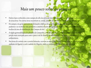 Mais um pouco sobre os pampas
• Outros tipos conhecidos como campos do alto da serra são encontrados em áreas de transição com o domínio
de araucárias. Em outras áreas encontram-se, ainda, campos de fisionomia semelhantes à savana.
• Os campos, em geral, parecem ser formações edáficas (do próprio solo) e não climáticas. A pressão do
pastoreio e os incêndios não permitem o estabelecimento da vegetação arbustiva, como se verifica em vários
trechos da área de distribuição dos Campos do Sul.
• A região geomorfológica do planalto de Campanha, a maior extensão de campos do Rio Grande do Sul, é a
porção mais avançada para oeste e para o sul do domíniomorfoestrutural das bacias e coberturas
sedimentares.
• Nas áreas de contato com o arenito botucatu, ocorrem os solos podzólicos vermelho-escuros, principalmente a
sudoeste de Quaraí e a sul e sudeste de Alegrete, onde se constata o fenômeno da desertificação.
 