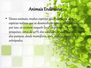 Animais Endêmicos
• Desses animais, muitas espécies são endêmicas, ou seja,
espécies nativas que se desenvolvem somente naquela região e
por isso, só existem naquele local do planeta. De acordo com
pesquisas, cerca de 40% dos animais são endêmicos da região
dos pampas, desde mamíferos, aves, répteis, anfíbios e
artrópodes.
 
