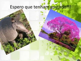 Espero que tenham gostado!!!
 