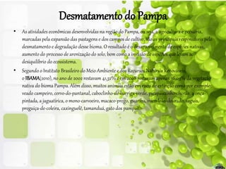 Desmatamento do Pampa
• As atividades econômicas desenvolvidas na região do Pampa, ou seja, a agricultura e pecuária,
marcadas pela expansão das pastagens e dos campos de cultivo, são os principais responsáveis pelo
desmatamento e degradação desse bioma. O resultado é o desaparecimento de espécies nativas,
aumento do processo de arenização do solo, bem como a invasão de espécies que levam ao
desiquilíbrio do ecossistema.
• Segundo o Instituto Brasileiro do Meio Ambiente e dos Recursos Naturais Renováveis,
o IBAMA(2010), no ano de 2002 restavam 41,32% e em 2008 restavam apenas 36,03% da vegetação
nativa do bioma Pampa. Além disso, muitos animais estão em risco de extinção como por exemplo:
veado campeiro, cervo-do-pantanal, caboclinho-de-barriga-verde, picapauzinho-chorão, a onça-
pintada, a jaguatirica, o mono-carvoeiro, macaco-prego, guariba, mico-leão-dourado, saguis,
preguiça-de-coleira, caxinguelê, tamanduá, gato dos pampas.
 