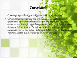 Curiosidade
• O termo pampa é de origem indígena e significa "região plana".
• Os Campos caracterizam-se pela presença de uma vegetação rasteira
(gramíneas) e pequenos arbustos distantes uns dos outros. Podemos
encontrar esta formação vegetal em várias regiões do Brasil (sul do Mato
Grosso do Sul, nordeste do Paraná, sul de Minas Gerais e norte do
Maranhão), porém é no sul do Rio Grande do Sul, região conhecida como
Pampas Gaúchos, que encontramos em maior extensão.
 