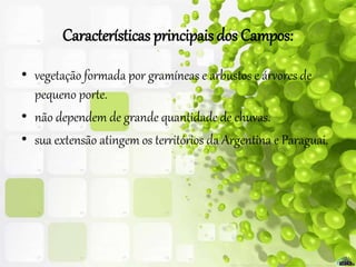 Características principais dos Campos:
• vegetação formada por gramíneas e arbustos e árvores de
pequeno porte.
• não dependem de grande quantidade de chuvas.
• sua extensão atingem os territórios da Argentina e Paraguai.
 