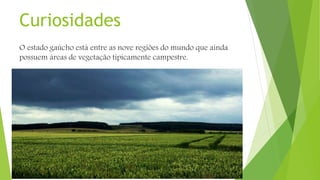 Curiosidades
O estado gaúcho está entre as nove regiões do mundo que ainda
possuem áreas de vegetação tipicamente campestre.
 