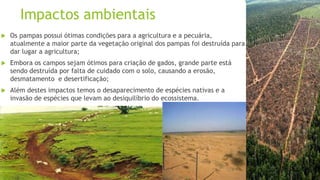 Impactos ambientais
 Os pampas possui ótimas condições para a agricultura e a pecuária,
atualmente a maior parte da vegetação original dos pampas foi destruída para
dar lugar a agricultura;
 Embora os campos sejam ótimos para criação de gados, grande parte está
sendo destruída por falta de cuidado com o solo, causando a erosão,
desmatamento e desertificação;
 Além destes impactos temos o desaparecimento de espécies nativas e a
invasão de espécies que levam ao desiquilíbrio do ecossistema.
 