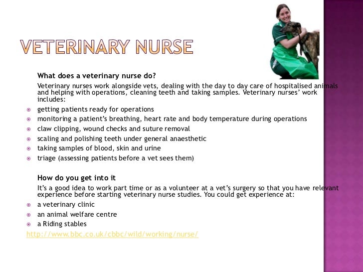 How Do Vets Get Urine Samples From Dogs How Do Vets Get Urine Samples From Dogs