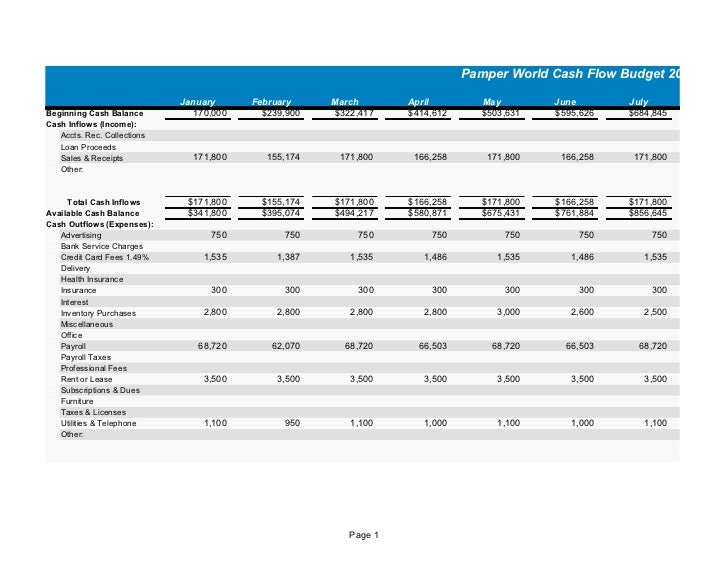 pamper world cashflow statement form cashflow statement template
