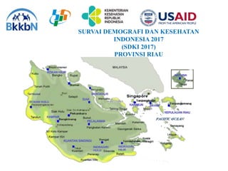 SURVAI DEMOGRAFI DAN KESEHATAN
INDONESIA 2017
(SDKI 2017)
PROVINSI RIAU
 