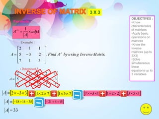 MATRICES | PPTX