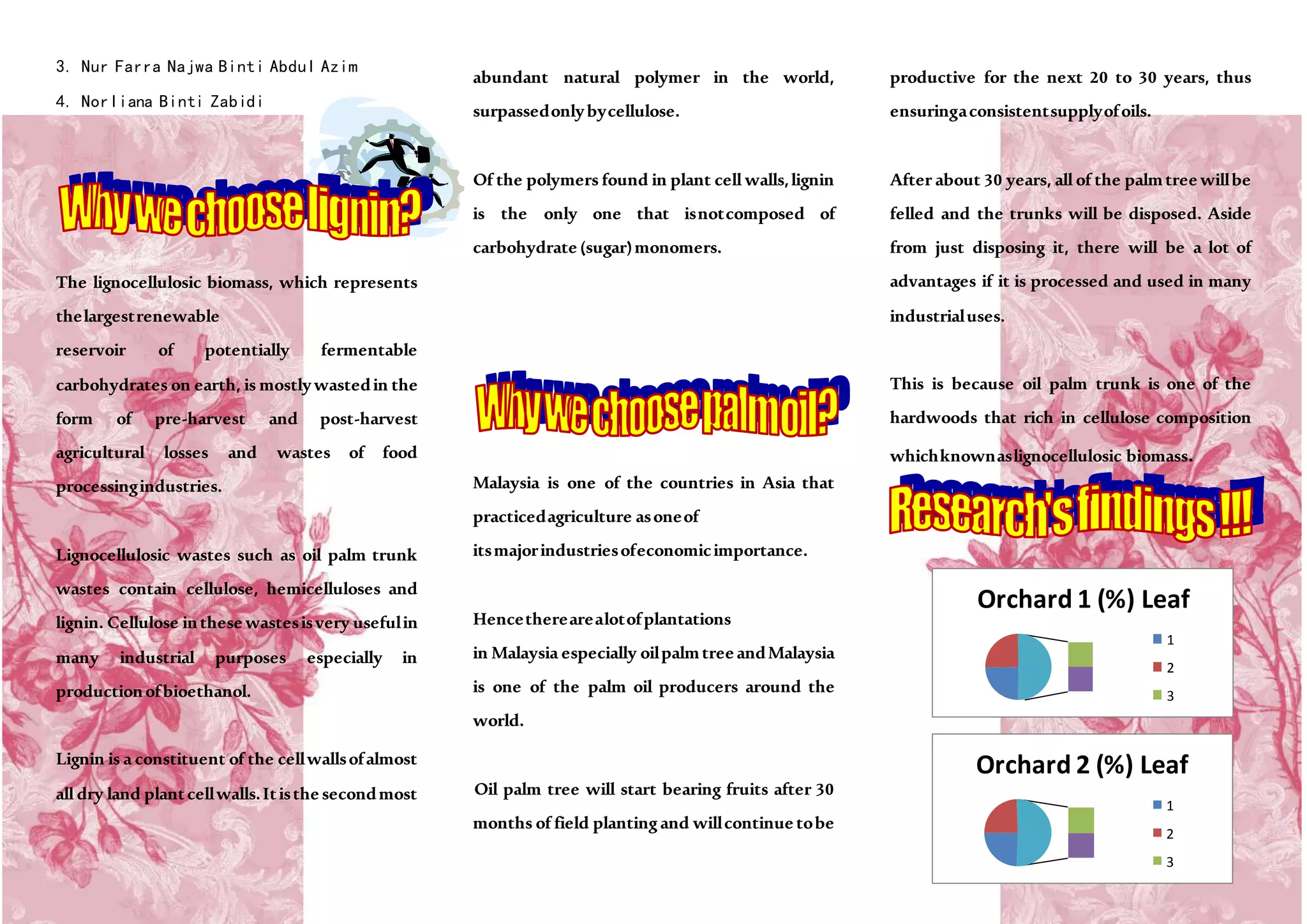 Pamplet research | PPT