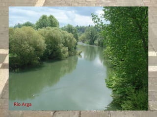 Río Arga 
