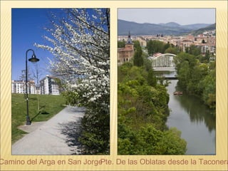 Camino del Arga en San JorgePte. De las Oblatas desde la Taconera
 