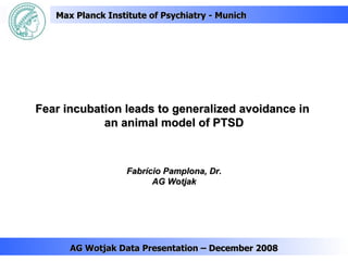 Fear incubation leads to generalized avoidance in  an animal model of PTSD AG Wotjak Data Presentation – December 2008 Fabrício Pamplona, Dr. AG Wotjak Max Planck Institute of Psychiatry - Munich 