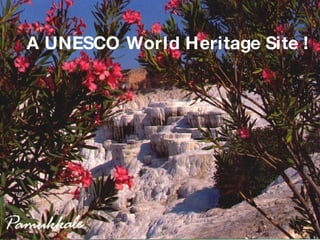 A UNESCO World Heritage Site !   
