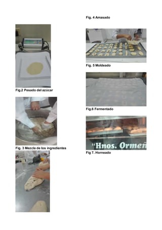 Fig.2 Pesado del azúcar
Fig. 3 Mezcla de los ingredientes
Fig. 4 Amasado
Fig. 5 Moldeado
Fig.6 Fermentado
Fig 7. Horneado
 