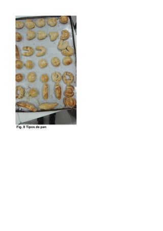 Fig. 8 Tipos de pan
 