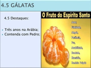 Panorama do Novo Testamento - Aula 2