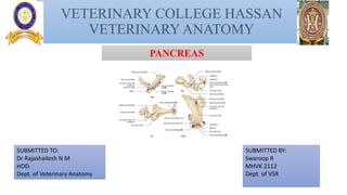 VETERINARY COLLEGE HASSAN
VETERINARY ANATOMY
SUBMITTED TO:
Dr Rajashailesh N M
HOD
Dept. of Veterinary Anatomy
SUBMITTED BY:
Swaroop R
MHVK 2112
Dept. of VSR
PANCREAS
 