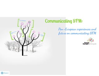 Pan European experiences and future on communicating SFM