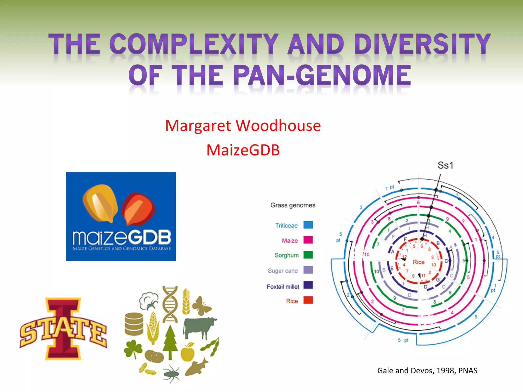 AgBioData: Complexity and Diversity of the Pan-Genome | PDF
