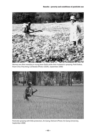 Results – poverty and conditions of pesticide use




Women are often weeding in mung bean fields while their husband is spraying, Prek Kraboa,
Peam Chor, Prey Veng, Cambodia (Photo: CEDAC, September 2008)




Pesticide spraying with little protection, An Giang, Vietnam (Photo: An Giang University,
September 2008)



                                            - 43 -
 