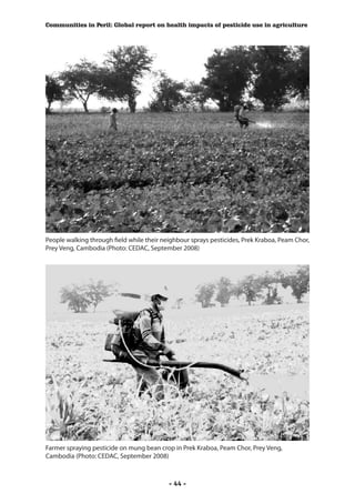 Communities in Peril: Global report on health impacts of pesticide use in agriculture




People walking through field while their neighbour sprays pesticides, Prek Kraboa, Peam Chor,
Prey Veng, Cambodia (Photo: CEDAC, September 2008)




Farmer spraying pesticide on mung bean crop in Prek Kraboa, Peam Chor, Prey Veng,
Cambodia (Photo: CEDAC, September 2008)



                                           - 44 -
 