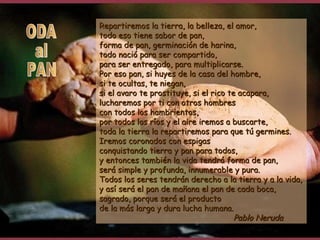Repartiremos la tierra, la belleza, el amor,Repartiremos la tierra, la belleza, el amor,
todo eso tiene sabor de pan,todo eso tiene sabor de pan,
forma de pan, germinación de harina,forma de pan, germinación de harina,
todo nació para ser compartido,todo nació para ser compartido,
para ser entregado, para multiplicarse.para ser entregado, para multiplicarse.
Por eso pan, si huyes de la casa del hombre,Por eso pan, si huyes de la casa del hombre,
si te ocultas, te niegan,si te ocultas, te niegan,
si el avaro te prostituye, si el rico te acapara,si el avaro te prostituye, si el rico te acapara,
lucharemos por ti con otros hombreslucharemos por ti con otros hombres
con todos los hambrientos,con todos los hambrientos,
por todos los ríos y el aire iremos a buscarte,por todos los ríos y el aire iremos a buscarte,
toda la tierra la repartiremos para que tú germines.toda la tierra la repartiremos para que tú germines.
Iremos coronados con espigasIremos coronados con espigas
conquistando tierra y pan para todos,conquistando tierra y pan para todos,
y entonces también la vida tendrá forma de pan,y entonces también la vida tendrá forma de pan,
será simple y profunda, innumerable y pura.será simple y profunda, innumerable y pura.
Todos los seres tendrán derecho a la tierra y a la vida,Todos los seres tendrán derecho a la tierra y a la vida,
y así será el pan de mañana el pan de cada boca,y así será el pan de mañana el pan de cada boca,
sagrado, porque será el productosagrado, porque será el producto
de la más larga y dura lucha humana.de la más larga y dura lucha humana.
Pablo NerudaPablo Neruda
 